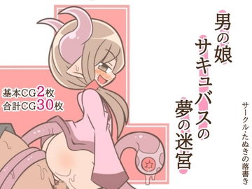 男の娘サキュバスの夢の迷宮3 [たぬきの落書き]