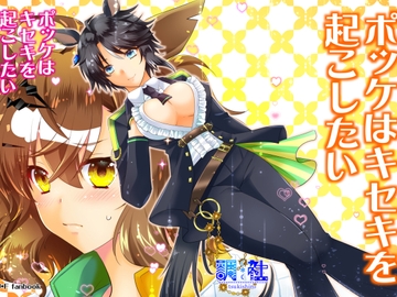 ポッケはキセキを起こしたい [tsukishiro]