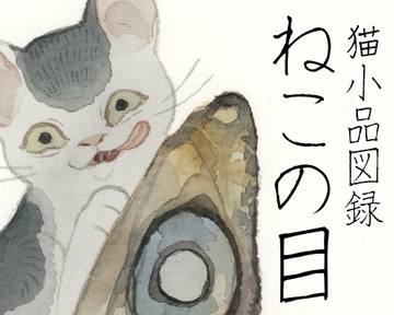 「ねこの目」猫小品図録 [きなり庵]