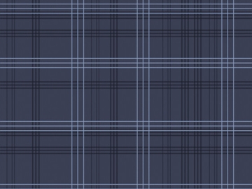 チェック tex [Visha]