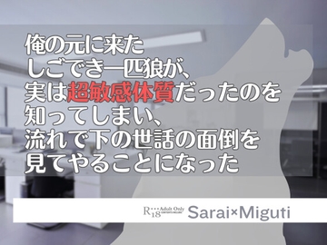 俺の元に来たしごでき一匹狼が、実は超敏感体質だったのを知ってしまい、 流れで下の世話の面倒を見てやることになった [KYJ]
