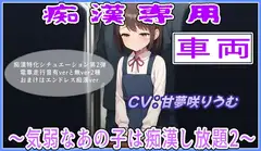 痴○専用車両～や、やめてくださいぃ・気弱なあの子は痴○し放題2～