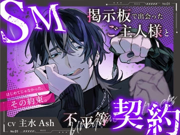 【M向け】SM掲示板で出会ったご主人様と不平等契約 〜はじめてじゃなかった、その約束。〜 [ぱぴぃすたいる]