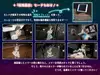 NTRアイドル - 夢の約束 サムネイル6