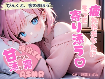 現役JKが甘やかす、全肯定添い寝の夜【癒しボイス・全年齢】 [夜のよりそい処]