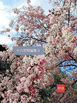 十八禁短編集5 [空りす]