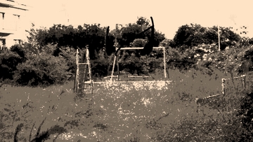 セピア色の桜 [土塊Link!!]