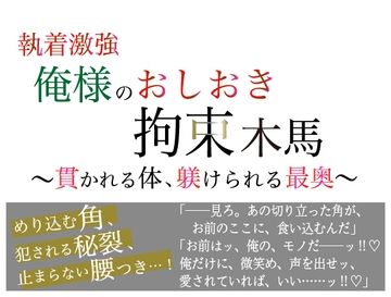 執着激強俺様のおしおき拘束木馬 〜貫かれる体、躾けられる最奥〜 [美波]