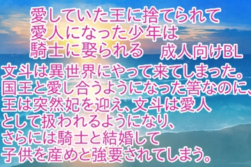 愛していた王に捨てられて愛人になった少年は騎士に娶られる [彩愛]