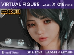 2D+3DVR VIRTUAL FIGURE MODEL:X-018 FILE.01 [LIBIDO WORKS]