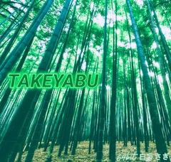 Takeyabu [64bit_白うさぎ]