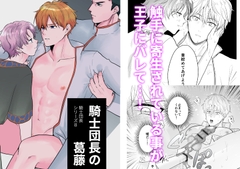 騎士団長の葛藤 [ですよね]