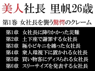 美人社長 里帆26歳 第1巻 女社長を襲う驚愕のクレーム [海老沢薫]