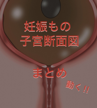 動く‼︎妊娠もの断面図もの まとめ [よろしくです]