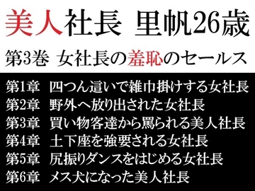 美人社長 里帆26歳 第3巻 女社長の羞恥のセールス [海老沢薫]