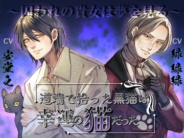 道端で拾った黒猫は幸運の猫だった〜囚われの貴女は夢を見る〜 [réaliser]