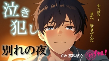 泣き犯し～ 同棲解除日記 ― 最後の夜、僕たちは涙を流しながら身体を重ねた ～ ASMR/バイノーラル/泣きエッチ/カップル/日常/別れ/感動/あまあま/中出し [バイカレ!～バイノーラルな彼氏～]