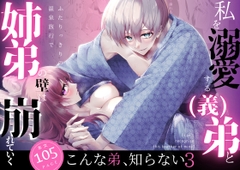 こんな弟、知らない3 -私を溺愛する(義)弟とふたりっきりの温泉旅行で姉弟の壁は崩れていく- [日常りばーす]