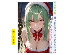 クリスマスに願いをしたら、やってきたのは美しいサンタクロースだった [星降楽園]