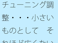 チューニング調整・・・小さいものとして それほど広くない木箱の中での周波数エンタ [サマールンルン]