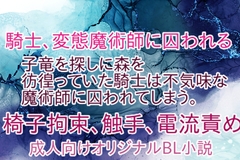 騎士、変態魔術師に囚われる [彩愛]