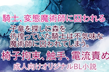 騎士、変態魔術師に囚われる [彩愛]