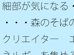 細部が気になる・・・・森のそばのクリエイター エネルギーを集める工夫 [サマールンルン]