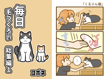 毎日毛づくろい総集編1 [kobone]