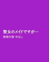 聖女のメイドですが… [ほりのや]