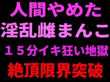 人間やめた淫乱雌まんこ 15分イキ狂い地獄 絶頂限界突破 [絶頂ひとりオナ子]