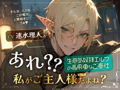 あれ?私がご主人様だよね?～生意気奴○エルフの高飛車なご奉仕～ [blood rain]