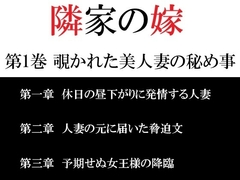 隣家の嫁 第1巻 覗かれた美人妻の秘め事 [海老沢薫]