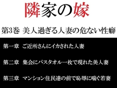 隣家の嫁 第3巻 美人過ぎる人妻の危ない性癖 [海老沢薫]