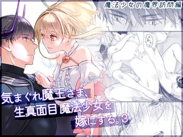気まぐれ魔王さま、生真面目魔法少女を嫁にする。3 [青色観測所]