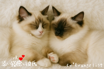 【簡体中文版】VR■添い寝癒し彼氏 [みんなで翻訳]