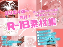 【商用可】クリエイター向け 忙しいあなたのための一番面倒くさくないR-18素材集(断面図、乳首、アナル、膣内など) [sex heaven]