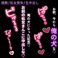 【調教/処女喪失/生中出し】催○アプリで雌犬宣言♡「お前、今から俺の犬な?ほら、雌犬。服従のポーズ♡」 [よるてぃの欲求]