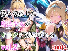 僕と契約した魔法少女がオークに凌○される vol.2 [種付けプレス加工株式会社]