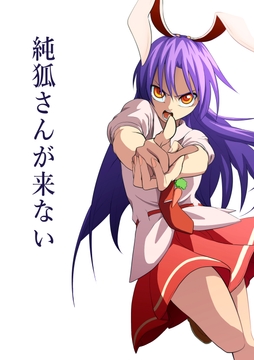 純狐さんが来ない [SignalMass]