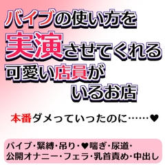 バイブの使い方を実演させてくれる可愛い店員がいるお店～本番ダメって言ったのに～ [null-null]
