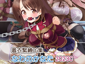 着衣緊縛CG集 なわのかなた 2023C [村雲茶屋]