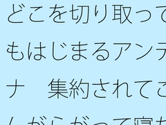 どこを切り取ってもはじまるアンテナ 集約されてこんがらがって寝た昨夜から朝 [サマールンルン]