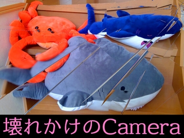 壊れかけのCamera [Kids Room App]