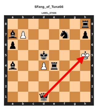 詰み局面チェスPDF&データコレクション7000超 [Kさん小説漫画垢]