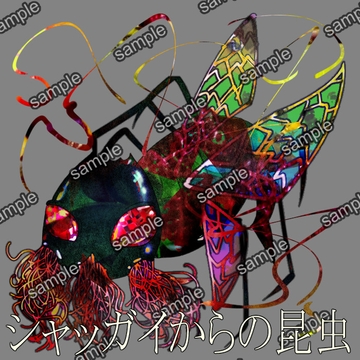 シャッガイからの昆虫 [せんとよちことしんわとせいぶつ]