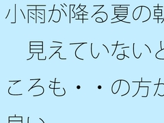 小雨が降る夏の朝 見えていないところも・・の方が良い [サマールンルン]
