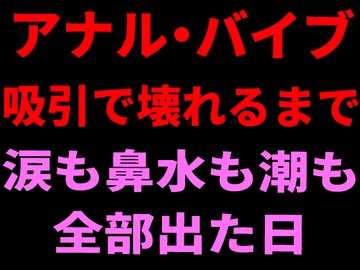 アナル・バイブ・吸引で壊れるまで。涙も鼻水も潮も全部出た日 [絶頂ひとりオナ子]