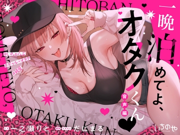一晩泊めてよ、オタクくん 音声編 [いちのや]