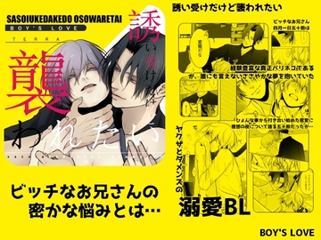 誘い受だけど襲われたい [ANARCHYSEVEN]