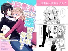 一目惚れからは逃げられない！ [Hiiroism]